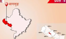 बढ्यो पर्यटकीयस्थलमा चहलपहल