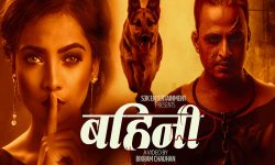 सापकोटालाई अभिनयमा एकपछि अर्को सफलता