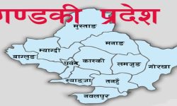 तीन घरवासलाई नयाँ गन्तव्य घोषणा