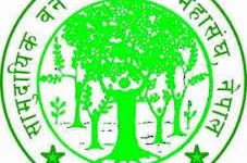 ‘वन ऐन तल्लो तहसम्म पुग्न सकेनन्’