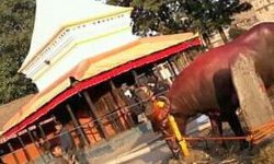 भक्तपुरको खःमेय् जात्रा सम्पन्न