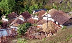 कास्कीमा एक हजार ८७४ खरका छाना विस्थापित गरिने