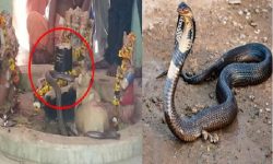 जहाँ नागले दैनिक गर्छन् शिबको पुजा !