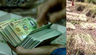 यातायात कार्यालयमा राखिएको लाइसेन्स कसरी पुग्याे धान खेतमा ?