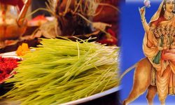 आज कात्यायनीको पूजा गरिँदै