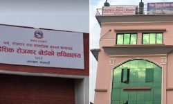 वैदेशिक रोजगार बोर्डको आर्थिक सहायता बन्द