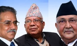 ओली तात्कालीन एमाले ब्युँताउने दाउमा, प्रचण्डमाधव फैसलाको पुनरावलोकनमा