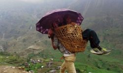 Patients compelled to use basket in absence of ambulance service