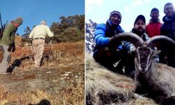 कोरोनाले घट्यो सिकार : एक झारल र एक नाउर मारिने