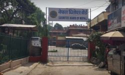 हल्ला र अनुमानका पछाडि नलाग्न धितोपत्र बोर्डको आग्रह्र