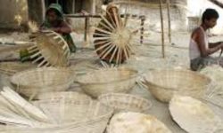 कात्तिक कृष्णपक्षसँगै डोम समुदायको सक्रियता बढ्दै