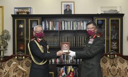 भारतीय स्थल सेनाध्यक्ष नरवणे जङ्गी अड्डामा आयोजित विभिन्न कार्यक्रममा सहभागी (फाेटाेफिचर)