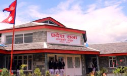 कोरोना महामारी : सत्ता लम्ब्याउने बहाना