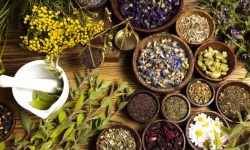 बहुमूल्य जडीबुटीकाे अवैध चोरी–निकासी बढ्यो