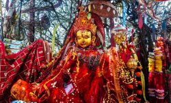 पाथीभरामा तीर्थयात्रीको मृत्यु