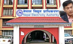 विधुत प्राधिकरणको निमित्त कार्यकारी निर्देशकमा शाक्य