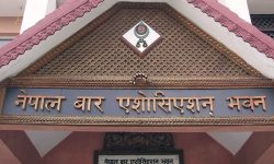 चितवन बारको नेतृत्वका लागि आज निर्वाचन हुँदै