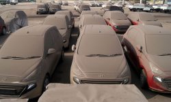 वीरगञ्ज भन्सारमा रहेका धुलाम्य सवारीसाधन