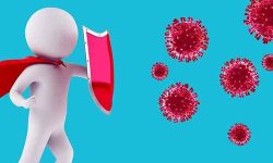 समुदास्तरमा एन्टिवडी परीक्षणका लागि नमूना सङ्कलन