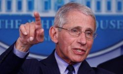 आउँदा दिनमा संक्रमण थप तीव्र हुने डा. एन्थोनी फाउचीको चेतावनी