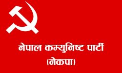 नेकपा चितवनबाट छानबिन माग