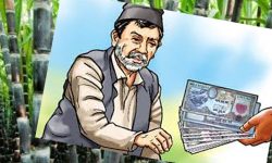 बक्यौता रकम नपाएपछि उखु किसानले गरे फेरि आन्दोलनको घोषणा