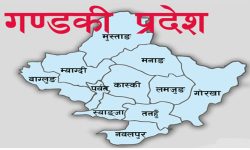 गण्डकीको केही सडक र पुल आयोजना वर्षौँदेखि रुग्ण