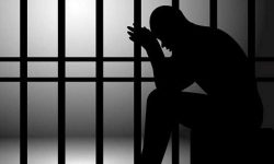 महोत्तरीमा बलात्कारका आरोपी वडासचिव कारागार चलान