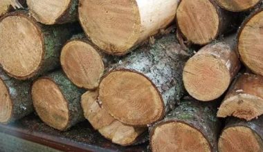 मध्यपहाडी सडक आयोजनाको गाडी काठ तस्करीमा