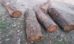 बेवारिसे अवस्थामा रहेकाे खयरको काठ बरामद