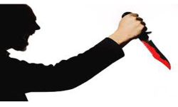 भिनाजुले सालोमाथि खुकुरी प्रहार