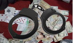 कुखुराको खोरमा कौडा खेलिरहेका २४ जुवाडे पक्राउ