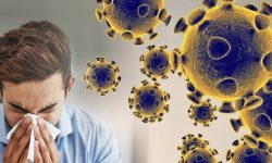 सुदूरपश्चिममा थप २५४ जनामा कोरोना संक्रमण