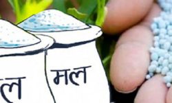 युरिया मल नेपाल आइपुग्न अझै दुई साता लाग्ने