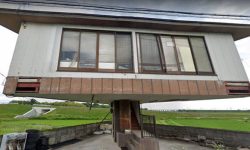 विश्वभर चर्चामा रहेको च्याउ घर