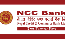 एनसीसी बैंकको संस्थापक सेयर लिलामी बोलपत्र आज खोलिंदै