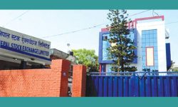 नेप्से १८ सय ९३ अंकमा, सातामा ३१ अर्ब ५४ करोडको सेयर किनबेच