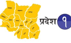 प्रदेश १ मा कोरोना संक्रमितकाे उपचार निः शुल्क