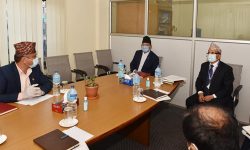 पत्रकारका समस्या स्थायी रूपमा समाधान हुनुपर्नेमा सञ्चारमन्त्रीको जोड