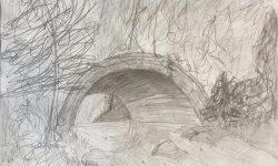 भारत–पाकिस्तानको सीमामा भेटियो १५० मिटर लामो सुरुङ्ग