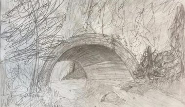 भारत–पाकिस्तानको सीमामा भेटियो १५० मिटर लामो सुरुङ्ग