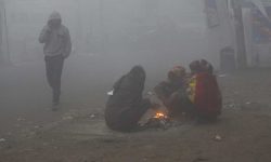 तराईमा बाक्लो हुस्सु र कुहिरो