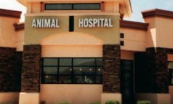 सञ्चालन भयो पहिलो वन्यजन्तु अस्पताल