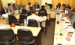 एआईजी थप नगर्न राज्य व्यवस्था समितिको निर्देशन