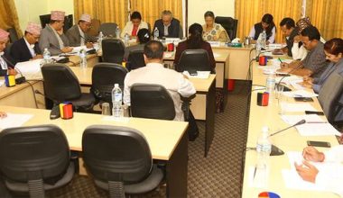 एआईजी थप नगर्न राज्य व्यवस्था समितिको निर्देशन