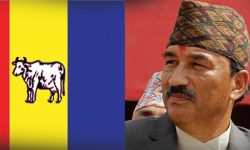 राप्रपाले स्थानीय तहमा प्रशिक्षण कार्यक्रम सञ्चालन गर्ने