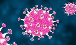 कोभिड-१९ कारण सात जना पत्रकारको निधन, पाँच सय १३ जना संक्रमित