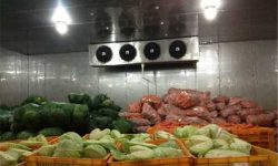 Cold store worth Rs 60 millon remain dysfunctional