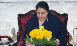 राष्ट्रपतिसमक्ष दुई प्रतिवेदन पेस