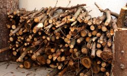 उपभोक्ताका घरघरमै दाउरा पुर्याउँदै सामुदायिक वन